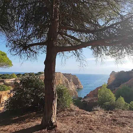 Oasis Mar- Praia Da Rocha